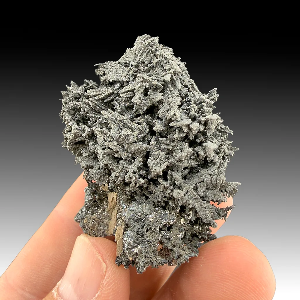 Safflorite on Silver with Skutterudite - image 1