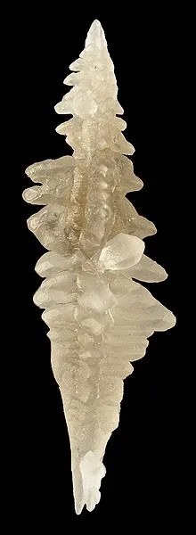 Salammoniac image
