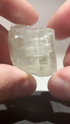 specimen video