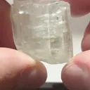 specimen video