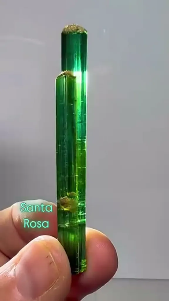 Santa Rosa tourmalines, particularly those from the Santa Rosa mine in… image