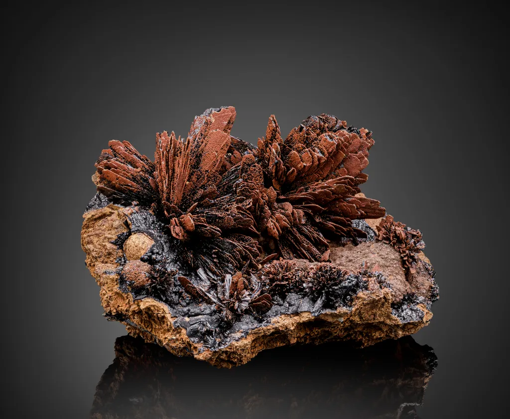 Santabarbaraite in Vivianite with Goethite image