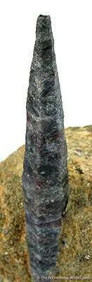 Sapphire - image 2