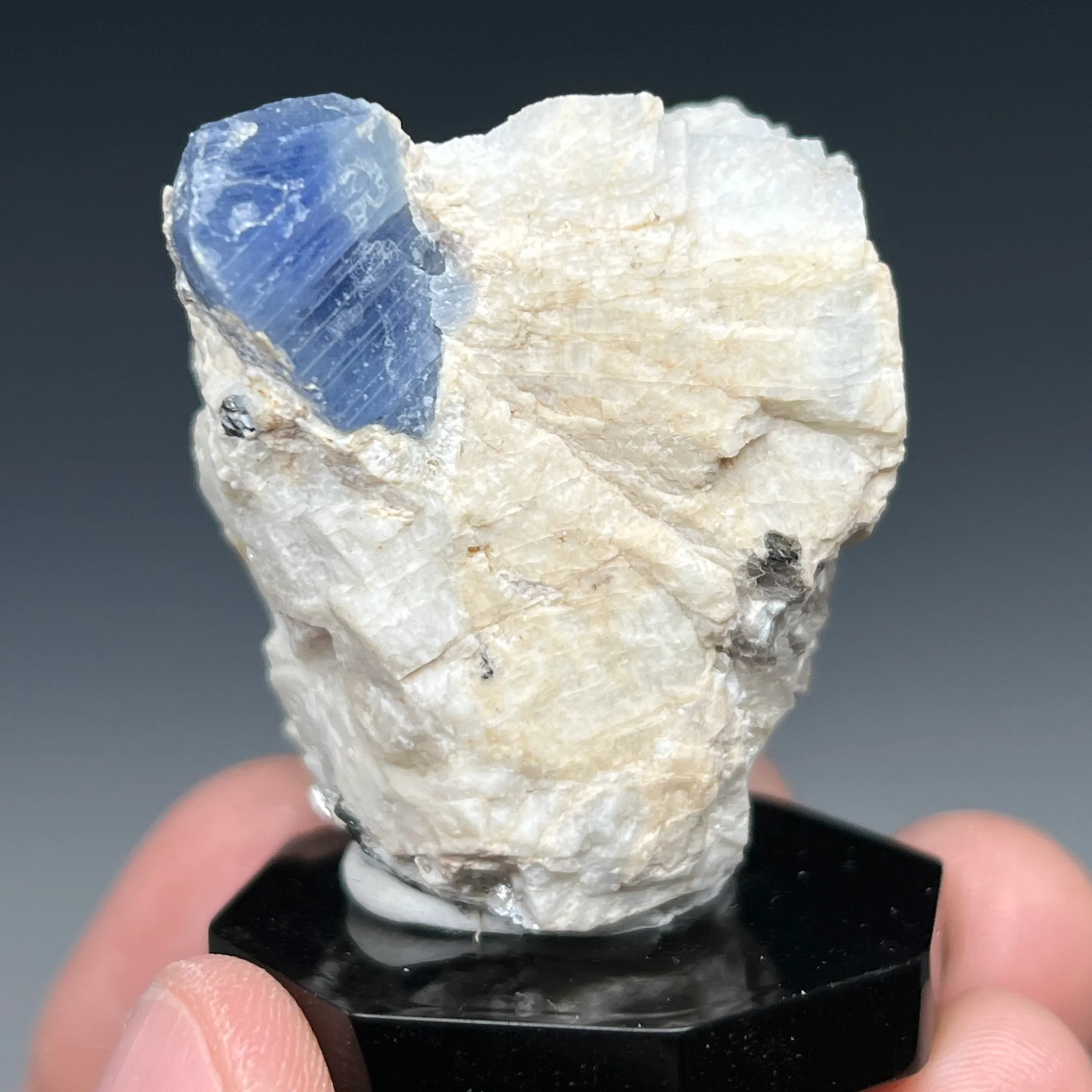 Sapphire - image 6