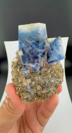 specimen video
