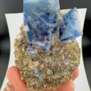 specimen video
