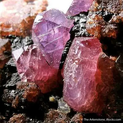 Sapphire/Ruby - image 3