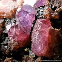 Sapphire/Ruby - image 3