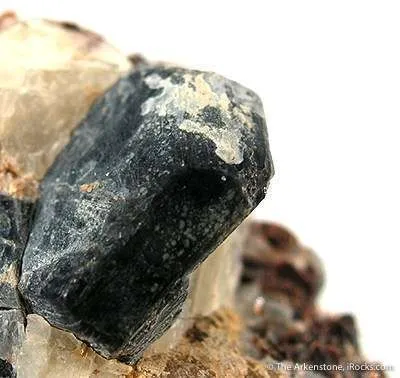 Sapphirine With Phlogopite - image 2