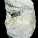 Sartorite - image 1