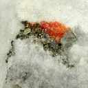 Sartorite - image 3