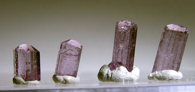 Scapolite image