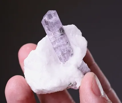 Scapolite