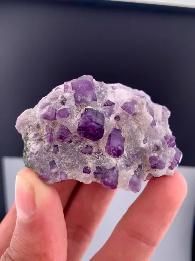 specimen video