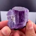 specimen video