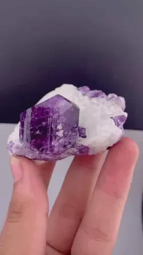 specimen video