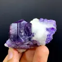 Scapolite from Afghanistan - image 3