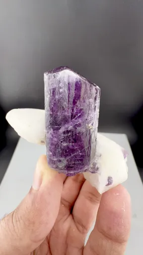 specimen video