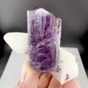 specimen video