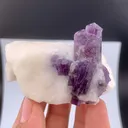 Scapolite from Afghanistan - image 1