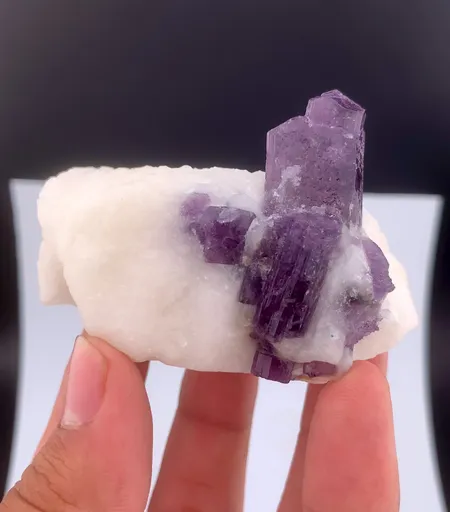 specimen video