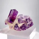 specimen video