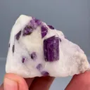 specimen video