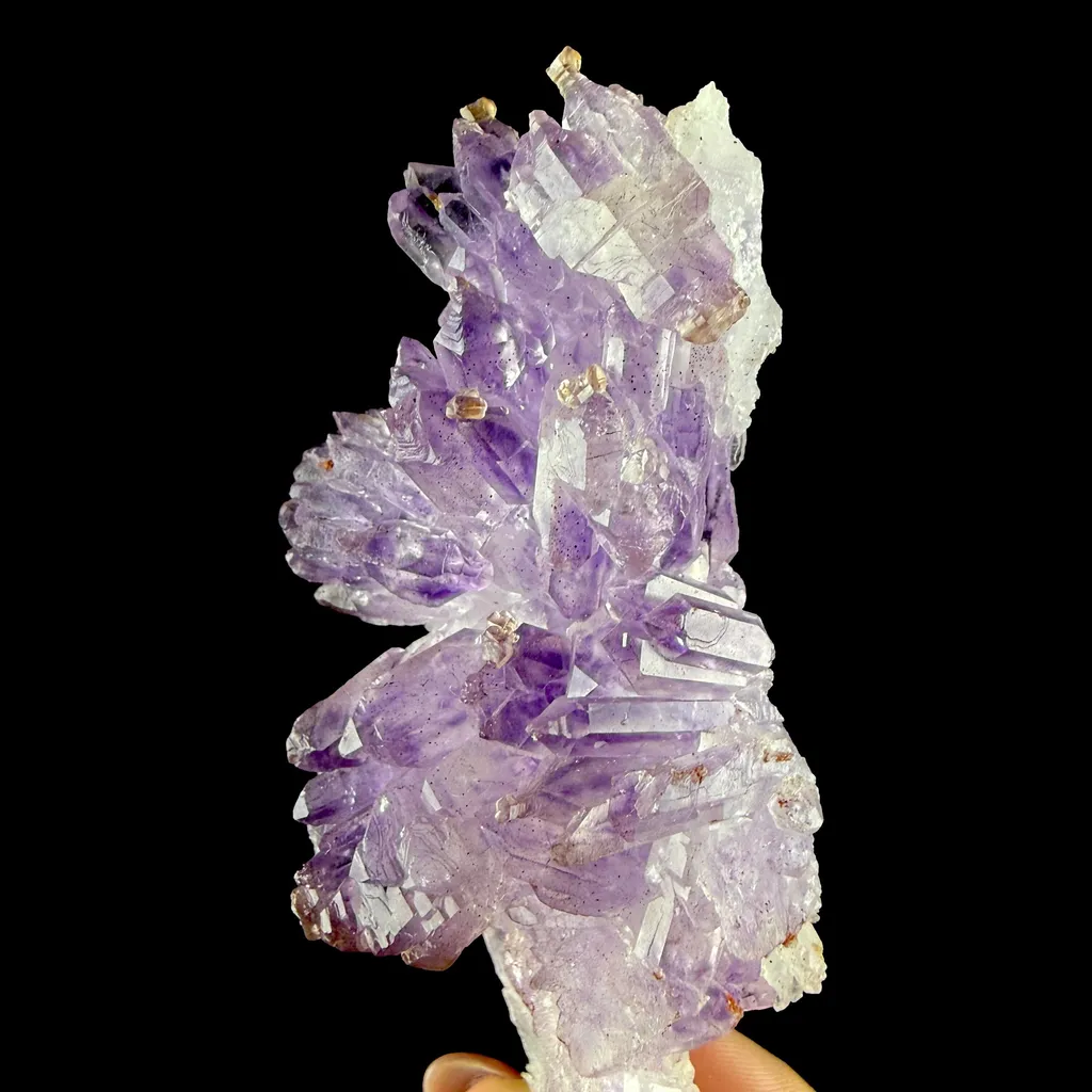 Scepter Amethyst Cluster - Collector’s Gem Specimen from Karur, Tamil Nadu, India DKT143 - image 6