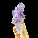 Scepter Amethyst Cluster - Collector’s Gem Specimen from Karur, Tamil Nadu, India DKT143 - image 1
