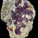 Scepter Amethyst Cluster on Matrix – Natural Purple Crystal Specimen from Karur, India DKT121 - image 6