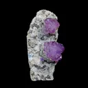 Scepter Amethyst Flower - Free Standing Natural Mineral Specimen from Karur , India | - image 1