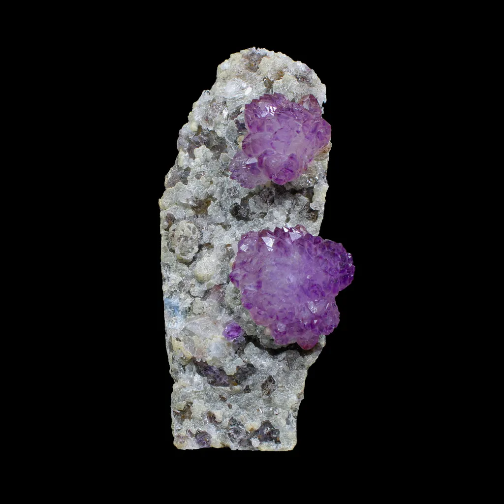 Scepter Amethyst Flower - Free Standing Natural Mineral Specimen from Karur , India | - image 3
