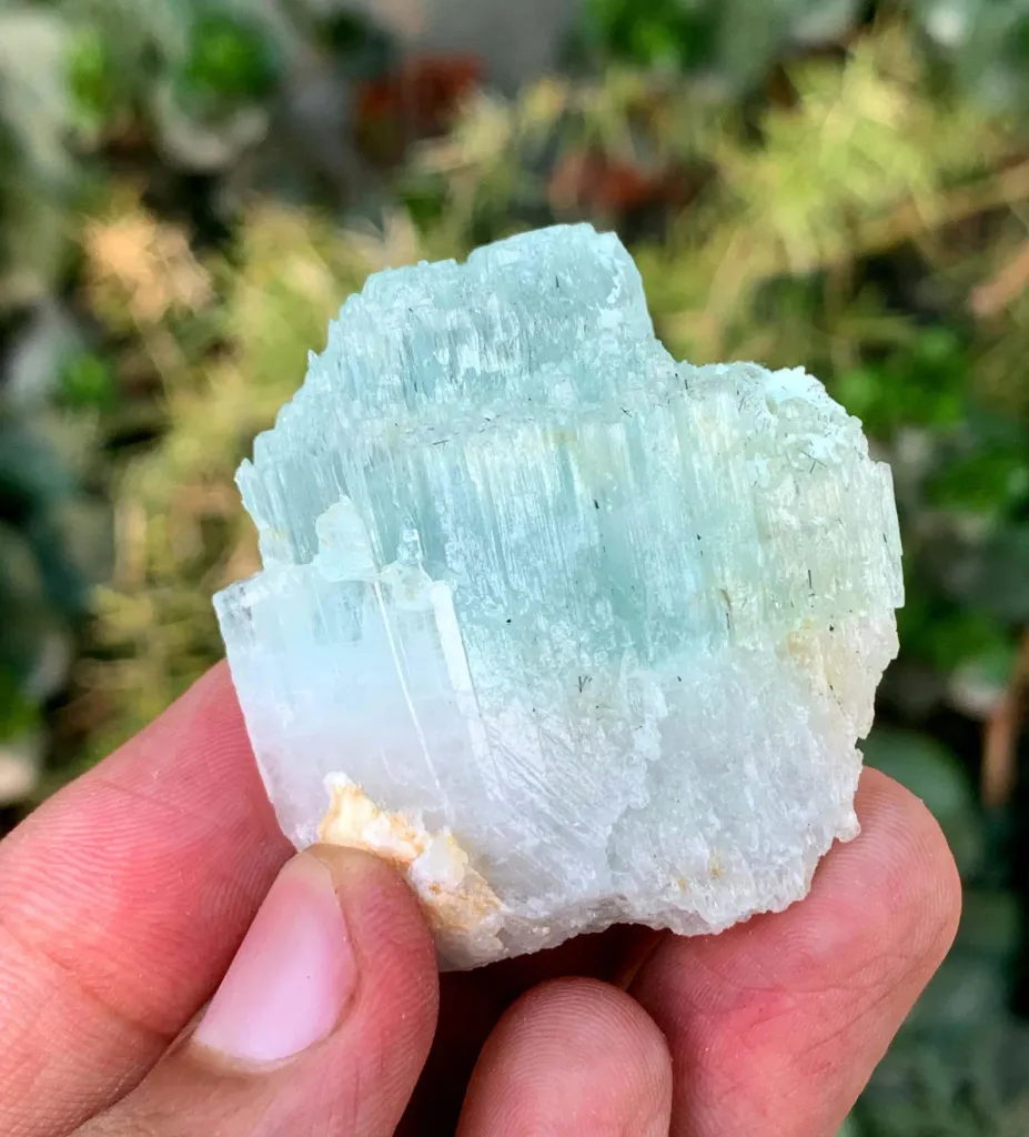 Scepter Aqua var Morganite var Beryl Specimen from Pakistan - image 5