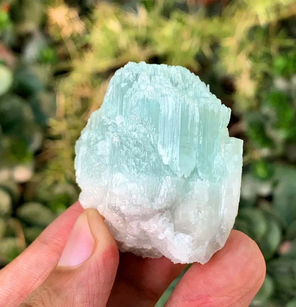 Scepter Aqua var Morganite var Beryl Specimen from Pakistan - image 4