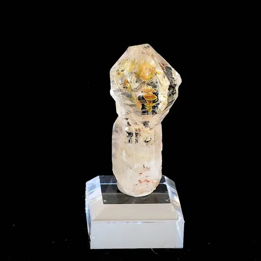 specimen video