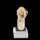 specimen video