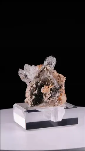 specimen video