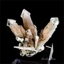 Scepter Quartz - orthos - image 4
