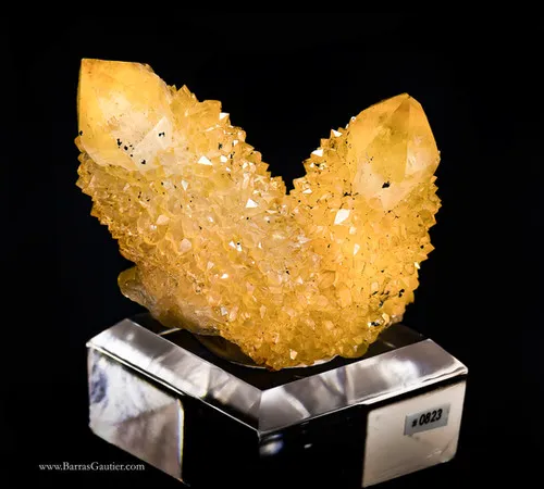 Sceptered Citrine Quartz image