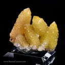 Sceptered Citrine Quartz - image 3