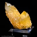 Sceptered Citrine Quartz - image 2