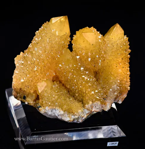Sceptered Citrine Quartz image
