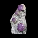 Sceptre Amethyst Flower - Free Standing Natural Mineral Specimen from Karur, India | - image 3