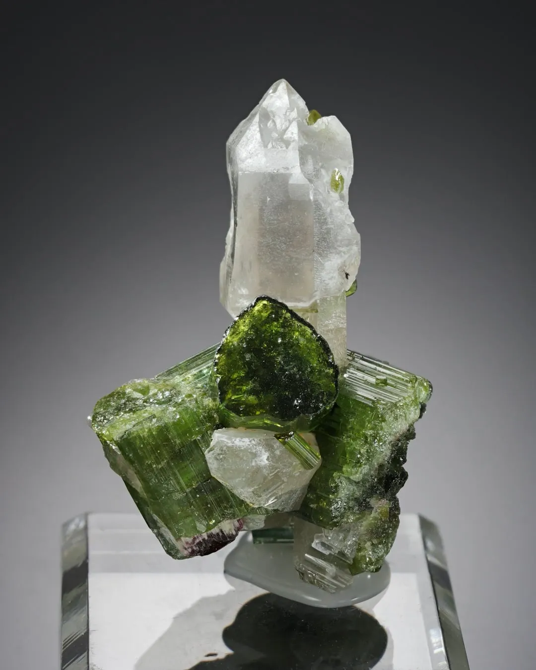 Sceptre Quartz with Tourmaline - image 2