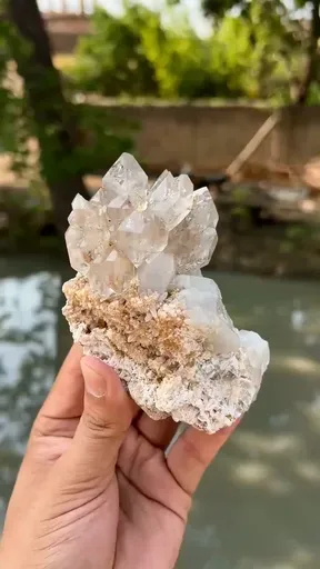 specimen video