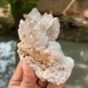 specimen video