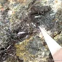 Schafarzikite Xls on Kermesite Xls - image 2