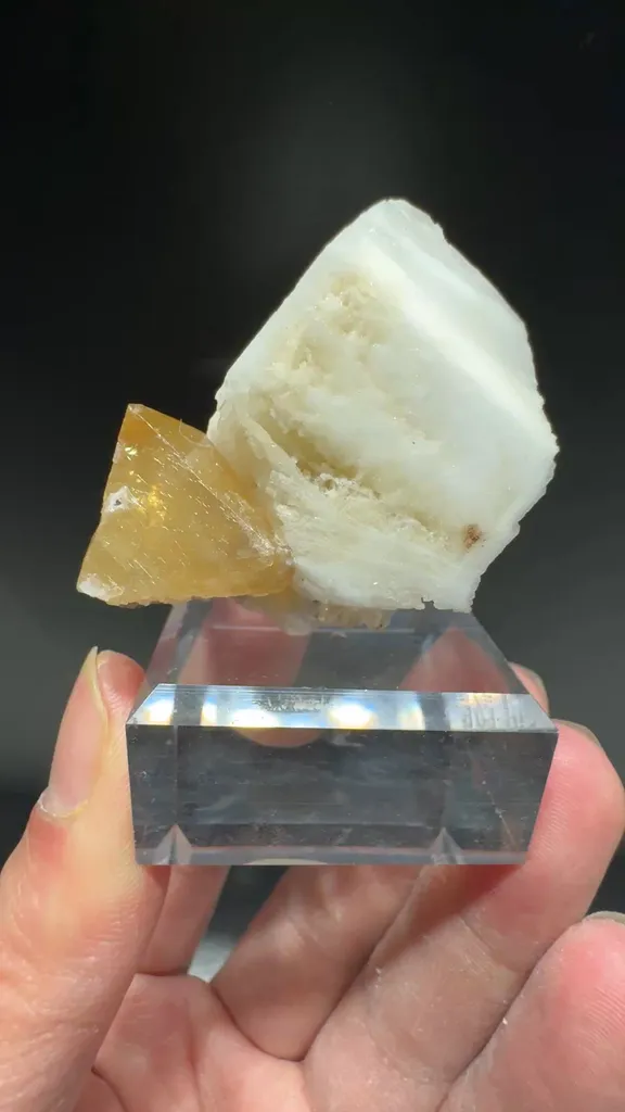 specimen video