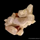 Scheelite and Quartz - image 3
