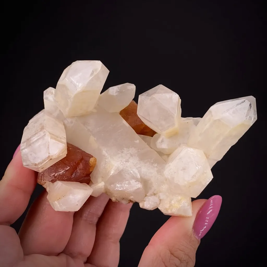 Scheelite and Quartz image